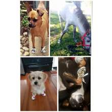 Zapatos Para Perros Anti Calor Transpirable Para Mascotas