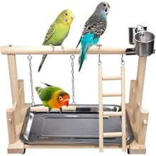 1pc Parrots Playstand Bird Playground Wood Perch Gym Stand Playpen Ladder With Toys Exercise Playgym For Conure Lovebirds - Beige - View 1