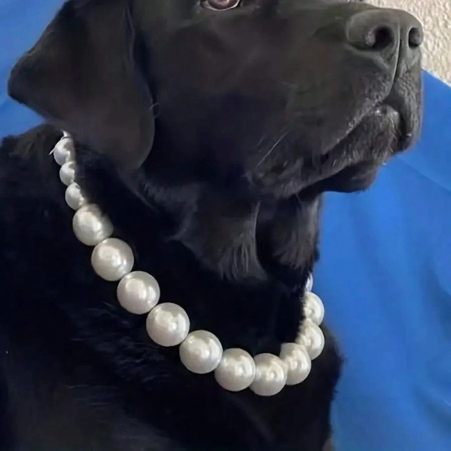 1條流行的多層粉色珍珠狗項圈寵物項鍊 - 白色 - 查看 1