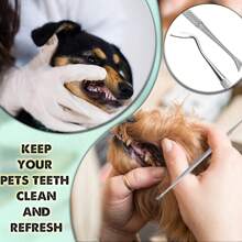 Herramientas De Limpieza De Dientes De Mascotas Removedor De Sarro Para Perros Piedras Dentales Rascardor De Acero Inoxidable