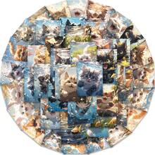 50入組水泳貓防水diy創意塗鴉貼紙,可貼於筆電、手機殼、吉他、滑板、水瓶、套、頭盔、雪板、行李箱、冰箱、門窗、家居塗鴉裝飾貼紙,絕佳的禮物 - 彩色 - 查看 10