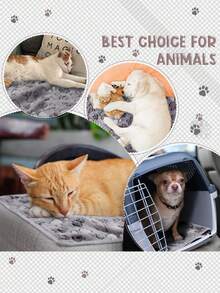 1入組冬季暖和珊瑚絨貓狗爪印毛毯,適用於小-中型貓狗,室內和戶外使用 - 灰色 - 查看 5