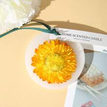 1入手工製作的多彩芳香蠟熔垂飾。是卧室、衣櫥、浴室、汽車等處長效香氛和除臭的理想選擇。 - 彩色 - 查看 6