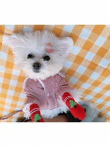 1入組寵物襪,防髒防滑狗狗爪套,適用於泰迪、比熊犬和小型犬,4入組 - 彩色 - 查看 3