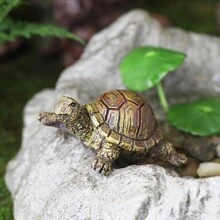 1 Pieza Figura De Tortuga De Simulación De Micropaisaje - Multicolor - Ver 4