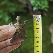 1 Pieza Figura De Tortuga De Simulación De Micropaisaje - Multicolor - Ver 3