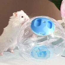 Colorful Cover Running Ball Toy For Small Pets, Transparent Exercise Wheel With Crystal Design - Blue - View 2