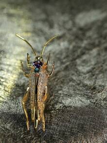 1件s925鍍銀彩色寶石昆蟲胸針,男女均適宜,適用於日常派對,紀念日,節日慶典等完美禮物 - 金黃色 - 查看 6