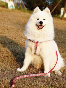 Supet 1set Plaid Reflective Harness And Leash For Small To Medium Dogs/Cats, Walking Out - Red - View 1