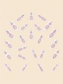 24入組超長尺寸,米色印花和鑽石裝飾的假指甲+果凍膠+指甲文件,展示您的魅力 - 白色 - 查看 3