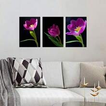 Plaques & Signs - Màu Hồng  San hô - Xem 1