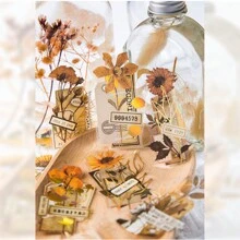 30張 '乾花標本製作' 系列乾花diy拼貼手帳,'祝你有美好的一天' Diy裝飾材料包,適合作為假期禮物 - 黃色 - 查看 6