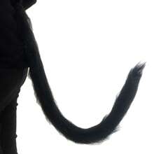 1 Pieza Accesorio De Decoración De Cola De Gato De Pelo Largo Para Cosplay - Negro - Ver 1