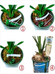 1pc Green Plant Pot Soil Moisture Retaining Automatic Watering Tool For Slouchy Gardening - Transparent Drip Irrigation System For Potted Plants - Green - View 4