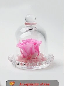 永生花玻璃罩,情人節禮物,創意生日禮物,家庭裝飾 - 粉色 - 查看 1