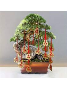 Juego de 10 monedas chinas de latón tradicionales con cuerda roja que representan la riqueza y el éxito (5 diseños), el mejor regalo - 5 piezas - Ver 4