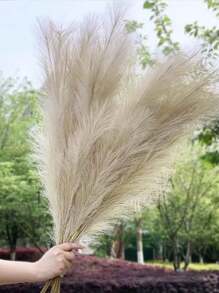 10pcs Artificial Reeds, Pampas Grass, Foxtail, Nordic Style Window Display Decoration - Camel - View 5