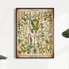 1入裝復古藝術帆布海報,醫用草藥和植物物種畫,教育性壁畫海報,幼兒園浴室臥室辦公室客廳家庭牆壁裝飾,無框 - 彩色 - 查看 5