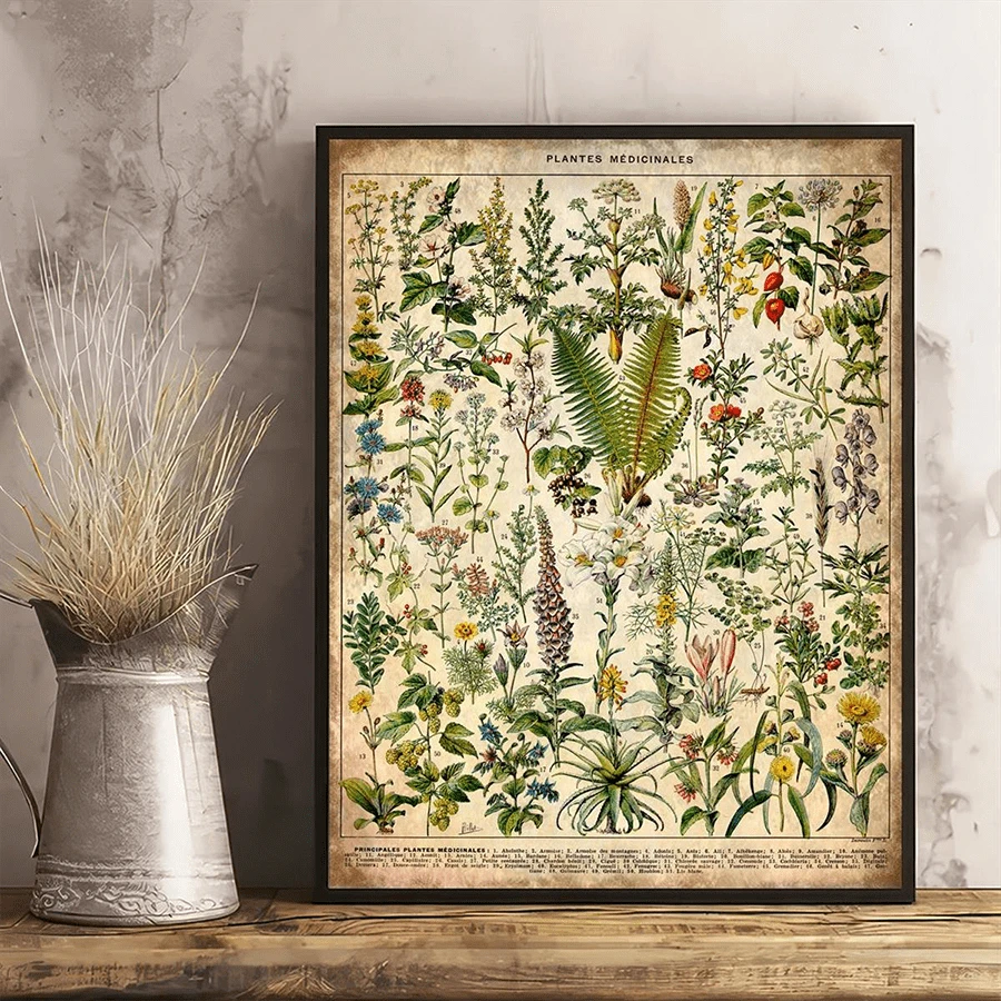 1入裝復古藝術帆布海報,醫用草藥和植物物種畫,教育性壁畫海報,幼兒園浴室臥室辦公室客廳家庭牆壁裝飾,無框 - 彩色 - 查看 1