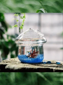 1個創意玻璃桌面魚缸,迷你玻璃花壇,多種風格的水耕種植 - 無色 - 查看 4