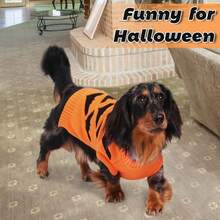 Dog Sweater, Puppy Festival Theme Knitted Sweater For Autumn - Orange - View 6