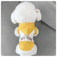 1件寵物冬季連帽衫,彩色區塊設計,適用於狗和貓 - 彩色 - 查看 5