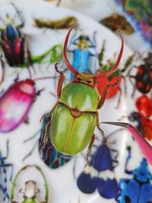 40sheets/Pack Cute Colorful Birds And Insect Notebook Decorative Stickers Decorative Stickers For Scrapbooking Label Diary Stationery Album Telephone Journal Planner,School Supplies,Back To School - Multicolor - View 7