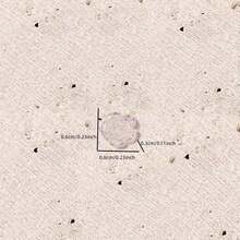 情人節100片6毫米白色透明美甲裝飾玫瑰花珍珠漆白色花瓣大小山茶花百搭樹脂花手指 - 白色 - 查看 2