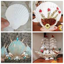 5 件海貝殼工藝品裝飾製作白色扇貝貝殼,工藝品 Diy 繪畫海灘婚禮裝飾,海灘天然扇貝貝殼家居裝飾 - 如圖所示 - 查看 6