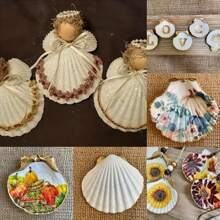 5 件海貝殼工藝品裝飾製作白色扇貝貝殼,工藝品 Diy 繪畫海灘婚禮裝飾,海灘天然扇貝貝殼家居裝飾 - 如圖所示 - 查看 8