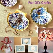 5 件海貝殼工藝品裝飾製作白色扇貝貝殼,工藝品 Diy 繪畫海灘婚禮裝飾,海灘天然扇貝貝殼家居裝飾 - 如圖所示 - 查看 7