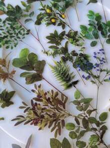 40张宠物主题笔记本贴纸，包含花朵、植物、蝴蝶等图案，复古装饰材质，适合返校季、剪贴簿、笔记本电脑、Kindle等设备，趣味贴纸，手机适用。 - 彩色 - 查看 4