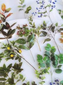 40张宠物主题笔记本贴纸，包含花朵、植物、蝴蝶等图案，复古装饰材质，适合返校季、剪贴簿、笔记本电脑、Kindle等设备，趣味贴纸，手机适用。 - 彩色 - 查看 3