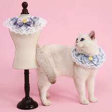 1個適用於英國短毛貓和布偶貓的寵物頸圈,帶防咬咕叫垂飾 - 彩色 - 查看 5