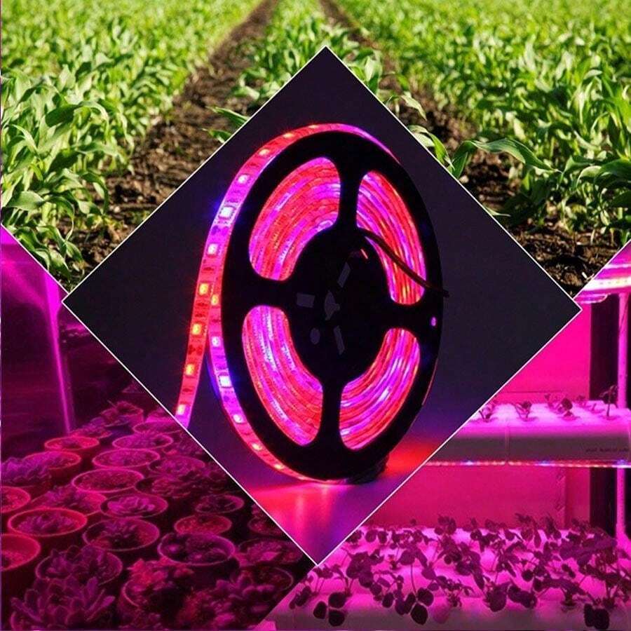 Led植物生長燈條,防水全光譜彈性種植燈,適用於室內植物、多肉植物、水耕、溫室(1m)/(3m)/(5m),具有usb接口dc5v,植物生產燈條 - 紫色 - 查看 1