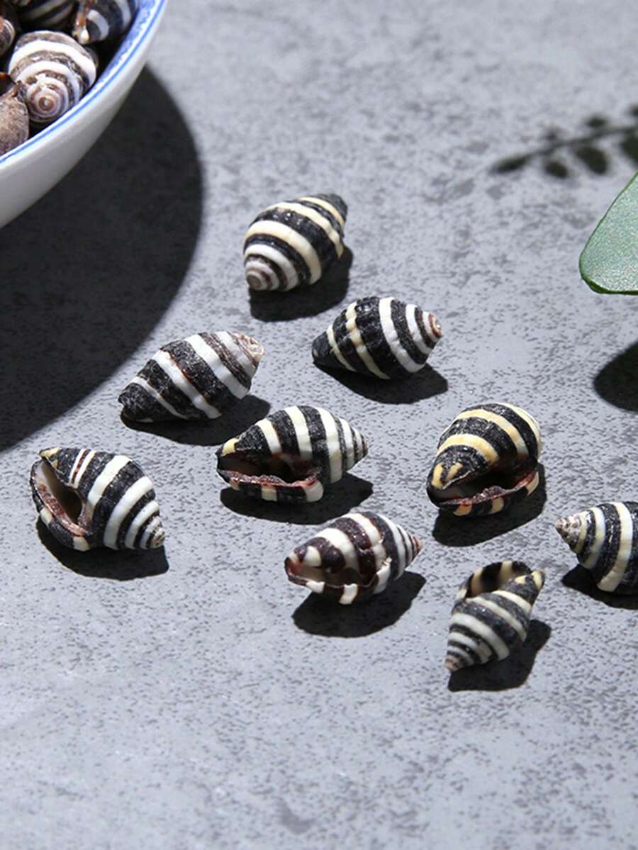 50入組黑白條紋海螺標本裝飾品,適用於微景觀、水族箱、diy珠寶、琥珀配件、寄居蟹 - 黑與白 - 查看 1