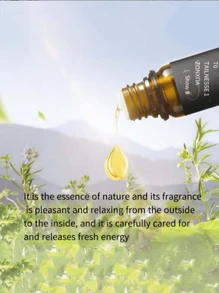 1入裝汽車香水、香薰精油和飯店室內加濕器香氛補充液 - 香格里拉 - 查看 2