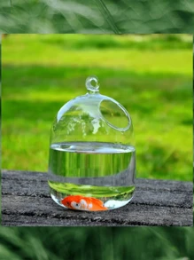 1個創意玻璃桌面魚缸,迷你玻璃花壇,多種風格的水耕種植 - 無色 - 查看 9