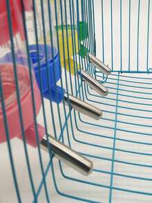 1個小型寵物飲水器,顏色隨機,適合天竺鼠、倉鼠、兔子等小寵物 - 彩色 - 查看 2