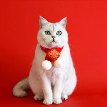 1入寵物新年圍巾,寵物貓織春節圍巾,編織保暖紅色吉祥寵物頸巾,貓咪新年節慶寵物裝飾 - 酒紅色 - 查看 1