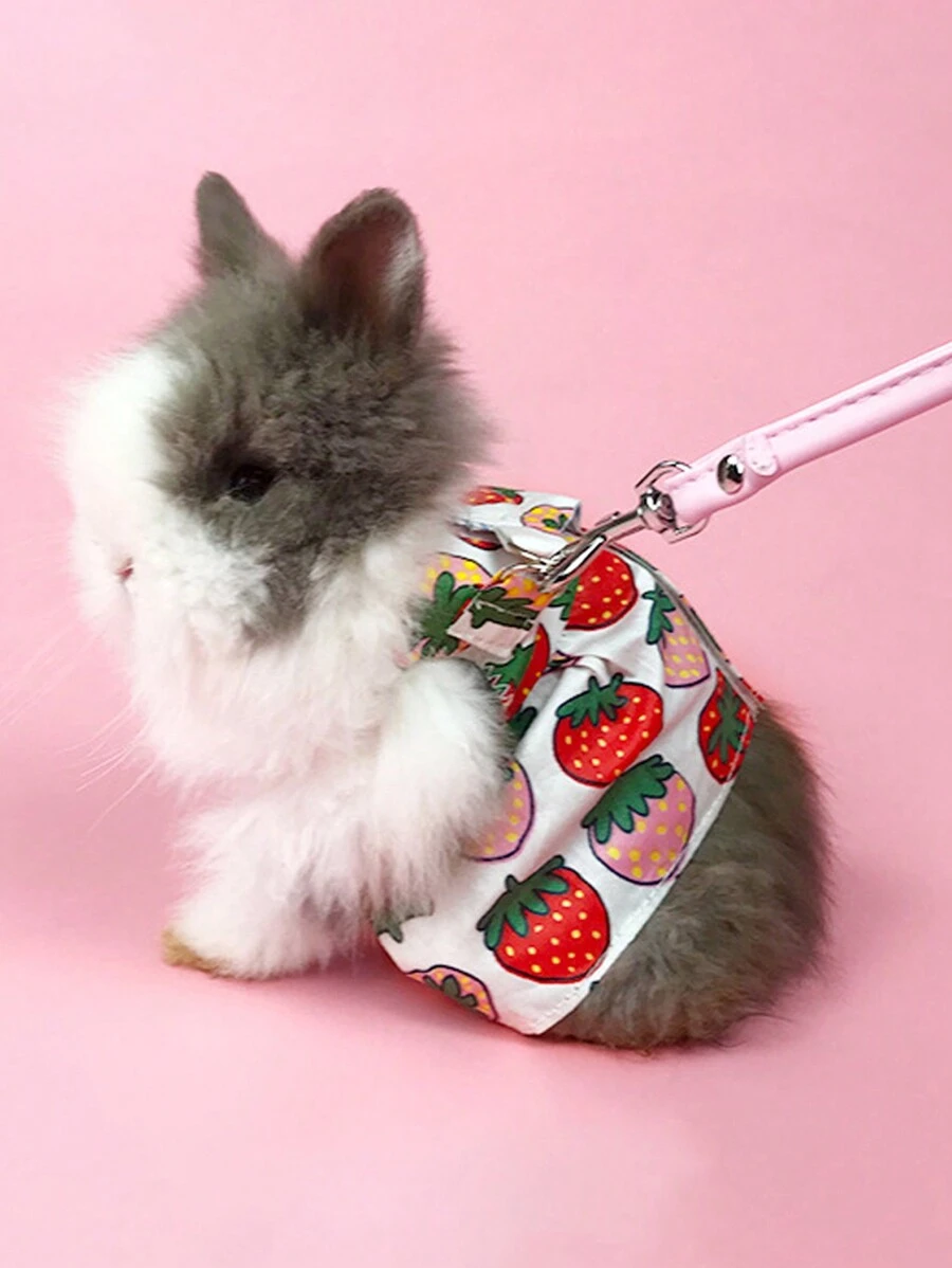 2入組草莓印花寵物兔衣連牽引繩,豚鼠背心式牽繩適合戶外遛兔 - 彩色 - 查看 1