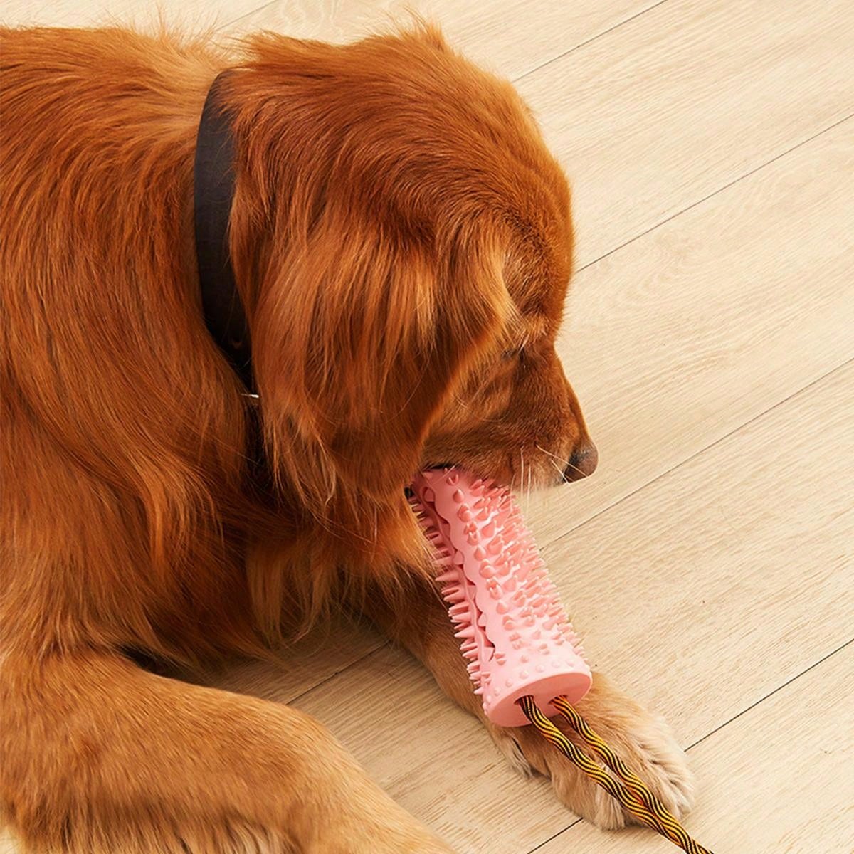 1pc Pet Slow Feeder Ball, Durable Chewing Rrubber Training Toy Ball