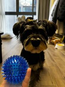 1 Pièce Boule De Jouet Qui Couine À Pointes De Massage De Boule Élastique De Couleur Solide En Matériau Tpr Pour Chien De Compagnie À L'intérieur, Bleue