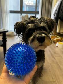 1 Pièce Boule De Jouet Qui Couine À Pointes De Massage De Boule Élastique De Couleur Solide En Matériau Tpr Pour Chien De Compagnie À L'intérieur, Bleue
