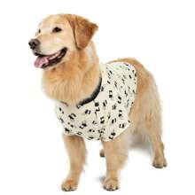 Pijamas para Mascotas Animal - Panda - Ver 1