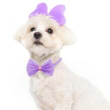 宠物春秋马卡龙色蝴蝶结蕾丝宠物领结猫狗领结8件套 - 彩色 - 查看 8