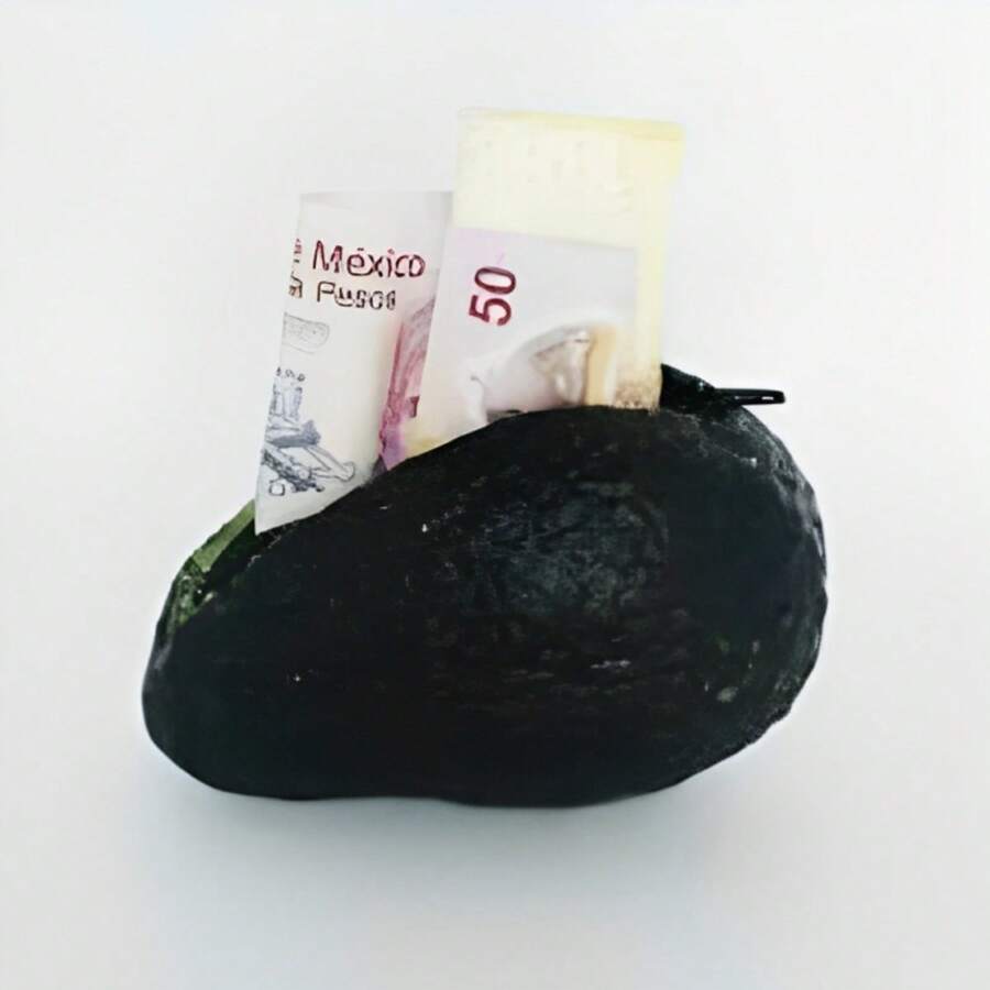 Monedero Silicón Monedero De Aguacate Monedero Silicon Aguacate