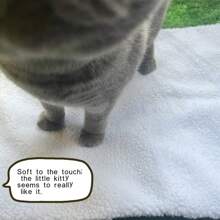 無內芯寵物墊,可自填充 墊子可拆卸、可清洗,具有一體式防潮隔熱墊,讓寵物使用柔軟舒適 適合體重不超過 5.5 公斤的寵物 - 白色 - 查看 6