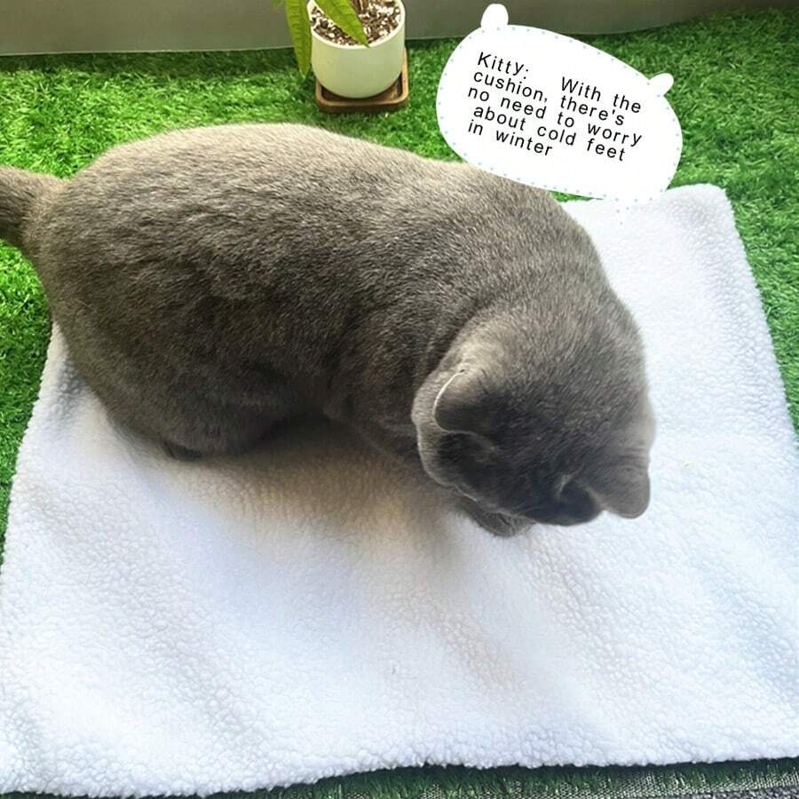 無內芯寵物墊,可自填充 墊子可拆卸、可清洗,具有一體式防潮隔熱墊,讓寵物使用柔軟舒適 適合體重不超過 5.5 公斤的寵物 - 白色 - 查看 1