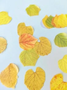 1 Roll Of Botanical Autumn Leaves Series Leaf Shaped Masking Tape For Diy And Scrapbooking - Multicolor - View 4